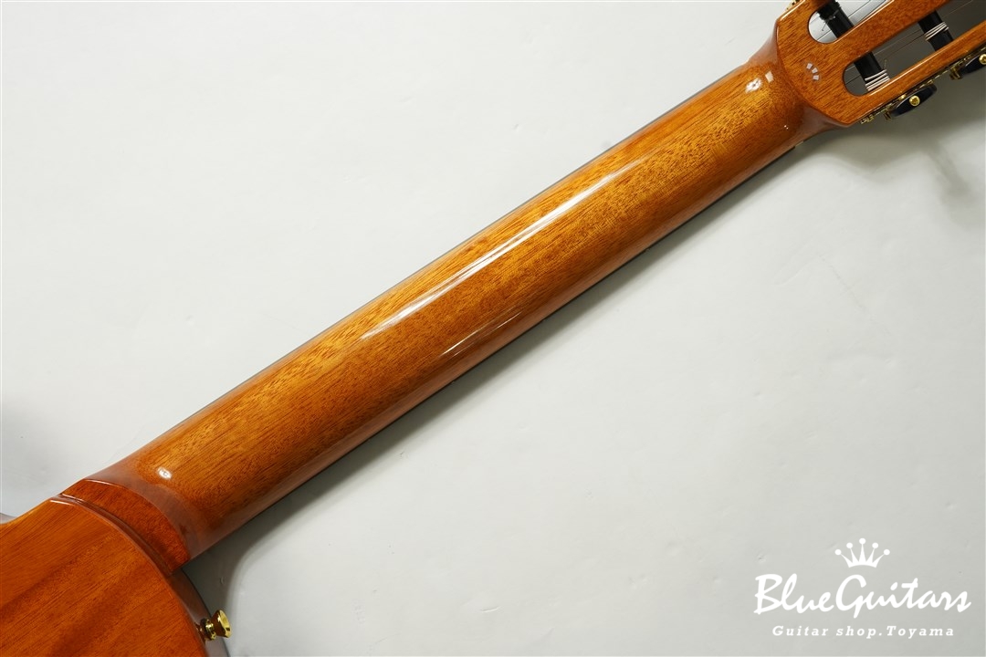 Cordoba STAGE GUITAR | Blue Guitars Online Store